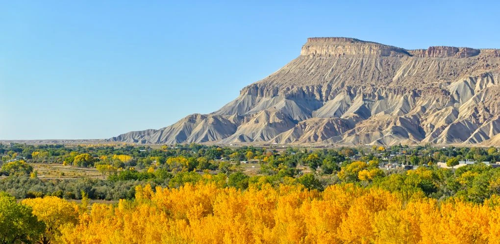 Golden autumn trees and mesas near Grand Junction, Colorado