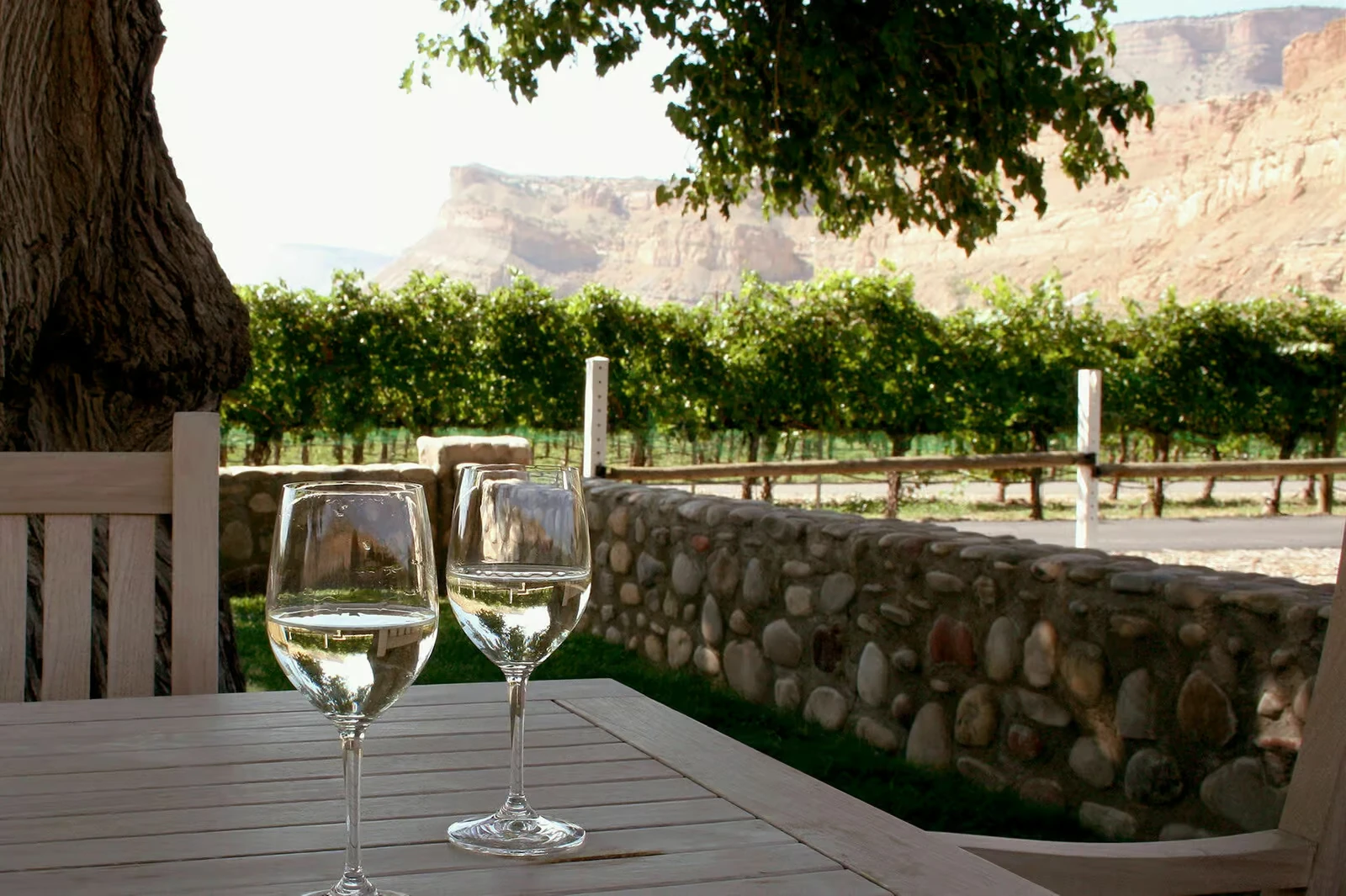 Palisade wine country