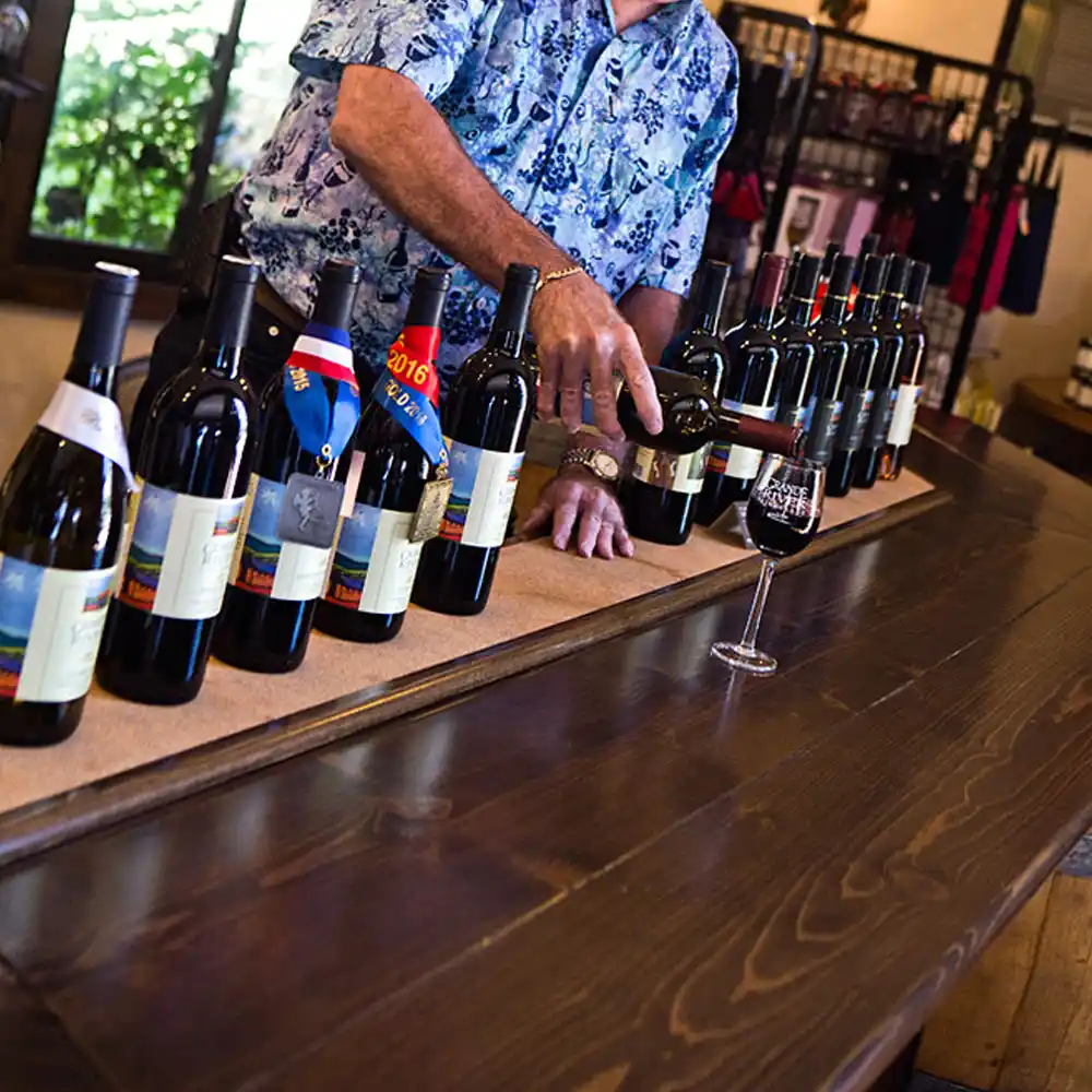 Palisade Wine Tour from Grand Junction