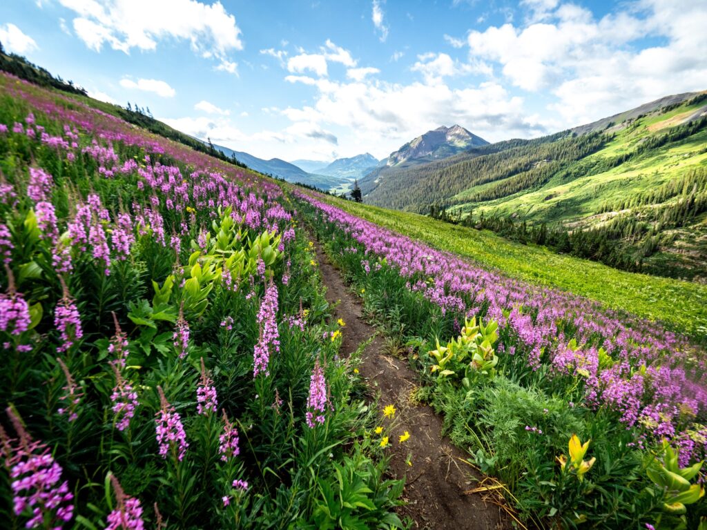 Crested Butte shuttle from Grand Junction